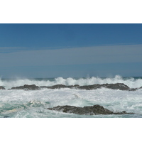 照片 南非(South Africa) 齐齐卡马国家公园(Tsitsikamma National Park) 2008-09 268