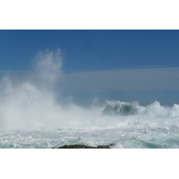 照片 南非(South Africa) 齐齐卡马国家公园(Tsitsikamma National Park) 2008-09 289