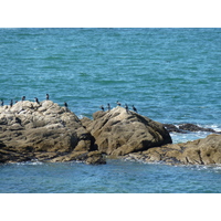 照片 法国(France) 滨海皮里亚克(Piriac sur mer) 2009-08 9