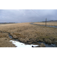 照片 法国(France) 奥布拉克(L'Aubrac) 2008-04 38