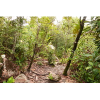 照片 塞舌尔(Seychelles) 居里厄斯岛(Curieuse) 2011-10 47