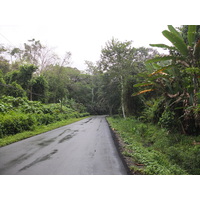 照片 哥斯达黎加(Costa Rica) 塔拉曼卡旧港(Puerto Viejo de Talamanca) 2015-03 11