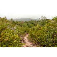 照片 塞舌尔(Seychelles) 居里厄斯岛(Curieuse) 2011-10 4