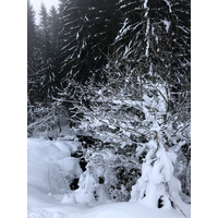 照片 法国(France) 拉克吕萨(La Clusaz) 2017-12 299