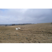 照片 法国(France) 奥布拉克(L'Aubrac) 2008-04 28