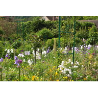 照片 法国(France) 吉维尼(Giverny) 2013-06 161