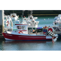 照片 法国(France) 基伯龙半岛(Quiberon peninsula) 基伯龙(Quiberon) 2008-07 21