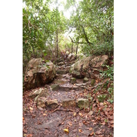 照片 塞舌尔(Seychelles) 居里厄斯岛(Curieuse) 2011-10 55