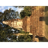 照片 泰国(Thailand) 西沙差那莱历史公园(Si satchanalai historical park) 2014-12 183