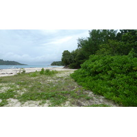 照片 塞舌尔(Seychelles) 居里厄斯岛(Curieuse) 2011-10 7