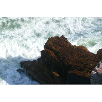 照片 南非(South Africa) 好望角(Cape of Good Hope) 开普角(Cape Point) 2008-09 9
