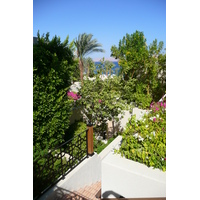 照片 埃及(Egypt) 沙姆沙伊赫(Sharm el Sheikh) 四季酒店(Four Seasons Hotel) 2008-06 67