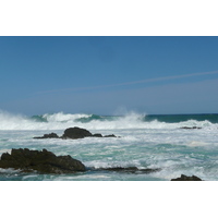 照片 南非(South Africa) 齐齐卡马国家公园(Tsitsikamma National Park) 2008-09 293