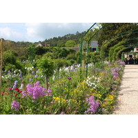 照片 法国(France) 吉维尼(Giverny) 2013-06 37