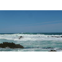 照片 南非(South Africa) 齐齐卡马国家公园(Tsitsikamma National Park) 2008-09 181
