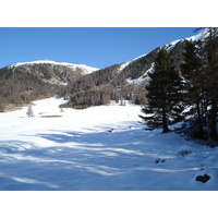 照片 瑞士(Switzerland) 蓬特雷西纳(Pontresina) 2007-01 174