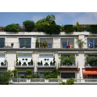 照片 法国(France) 巴黎(Paris) 福煦大街(Avenue Foch) 2007-06 32