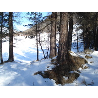 照片 瑞士(Switzerland) 蓬特雷西纳(Pontresina) 2007-01 159