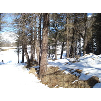 照片 瑞士(Switzerland) 蓬特雷西纳(Pontresina) 2007-01 142