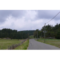 照片 法国(France) 奥布拉克(L'Aubrac) 2008-04 123