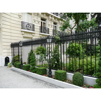 照片 法国(France) 巴黎(Paris) 福煦大街(Avenue Foch) 2007-06 18