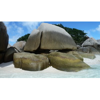 照片 塞舌尔(Seychelles) 椰子岛(Coco Island) 2011-10 62