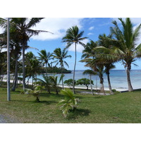 照片 新喀里多尼亚(New Caledonia) 利富岛(Lifou) 2010-05 20