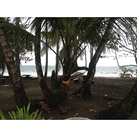 照片 哥斯达黎加(Costa Rica) 塔拉曼卡旧港(Puerto Viejo de Talamanca) 2015-03 76