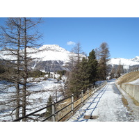 照片 瑞士(Switzerland) 蓬特雷西纳(Pontresina) 2007-01 126