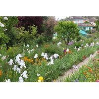 照片 法国(France) 吉维尼(Giverny) 2013-06 164