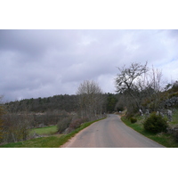 照片 法国(France) 奥布拉克(L'Aubrac) 2008-04 115