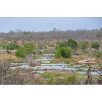 照片 南非(South Africa) 克鲁格国家公园(Kruger National Park) 鳄鱼河(Crocodile River) 2008-09 43