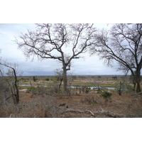 照片 南非(South Africa) 克鲁格国家公园(Kruger National Park) 鳄鱼河(Crocodile River) 2008-09 38