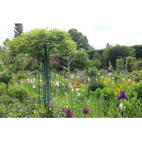 照片 法国(France) 吉维尼(Giverny) 2013-06 81