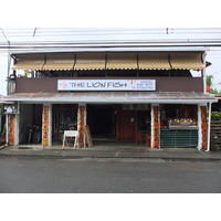 照片 哥斯达黎加(Costa Rica) 塔拉曼卡旧港(Puerto Viejo de Talamanca) 2015-03 147