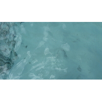 照片 塞舌尔(Seychelles) 椰子岛(Coco Island) 2011-10 75