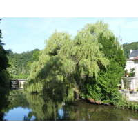 照片 法国(France) 布朗托姆(Brantome) 2009-07 1
