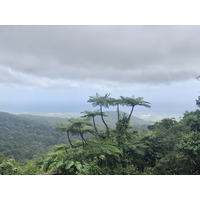 照片 瓜德罗普(Guadeloupe) 卡尔贝瀑布(Carbet Falls) 2021-02 12