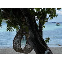 照片 泰国(Thailand) 大皮皮岛(Ko Phi Phi Don) 2021-12 150