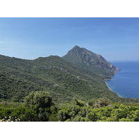 照片 法国(France) 科西嘉岛(Corsica) 奥萨尼(Osani) 2023-06 5