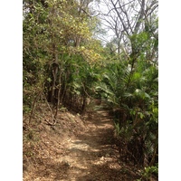 照片 哥斯达黎加(Costa Rica) 蒙特苏马(Montezuma) 2015-03 133