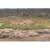 照片 南非(South Africa) 克鲁格国家公园(Kruger National Park) 鳄鱼河(Crocodile River) 2008-09 52