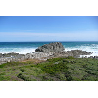 照片 南非(South Africa) 齐齐卡马国家公园(Tsitsikamma National Park) 2008-09 0