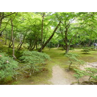 照片 日本(Japan) 京都(Kyoto) 银阁寺(Ginkakuji Temple(Silver Pavilion)) 2010-06 27