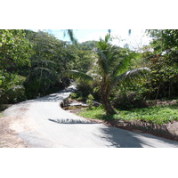 照片 塞舌尔(Seychelles) 普拉兰岛(Praslin) 2011-10 132