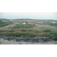 照片 以色列(Israel) 死海(Dead Sea) 2007-06 61