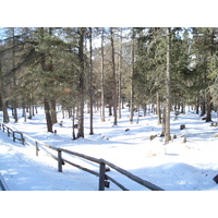 照片 瑞士(Switzerland) 蓬特雷西纳(Pontresina) 2007-01 81