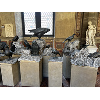 照片 意大利(Italy) 佛罗伦萨(Florence) 巴杰罗博物馆(Bargello Museum) 2022-05 54