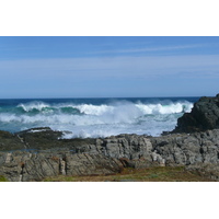 照片 南非(South Africa) 齐齐卡马国家公园(Tsitsikamma National Park) 2008-09 106