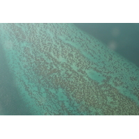 照片 埃及(Egypt) 航拍埃及(Egypt from the sky) 2008-06 119